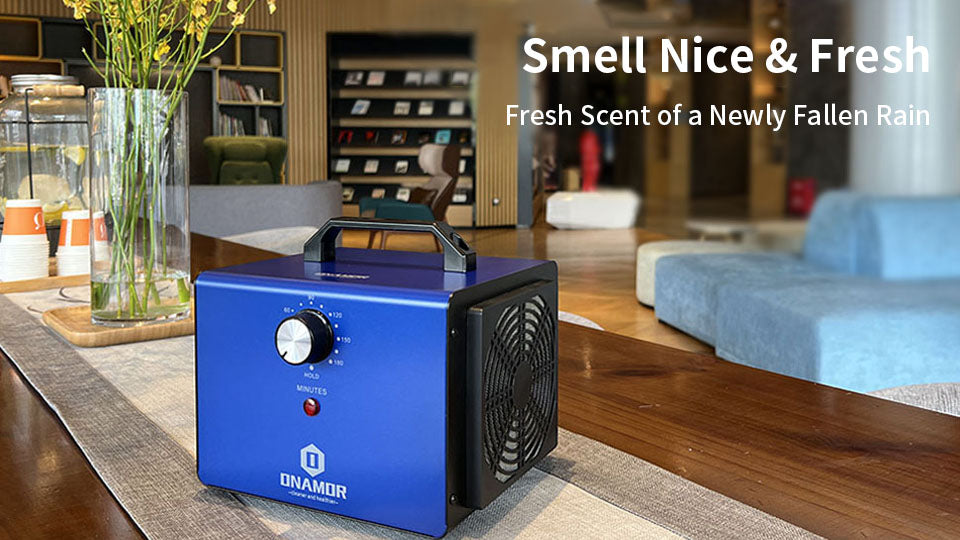 ONAMOR High Capacity 22000 mg/h 4,000 Square Feet Ozone Generator